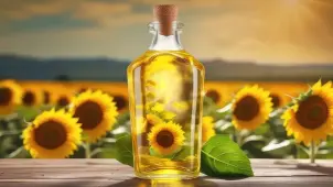 Ayçiçek Yağı Fiyatları Rekor Tırmandı! En Uygun Fiyatı Nerede Bulabilirsiniz? - 61Gündem